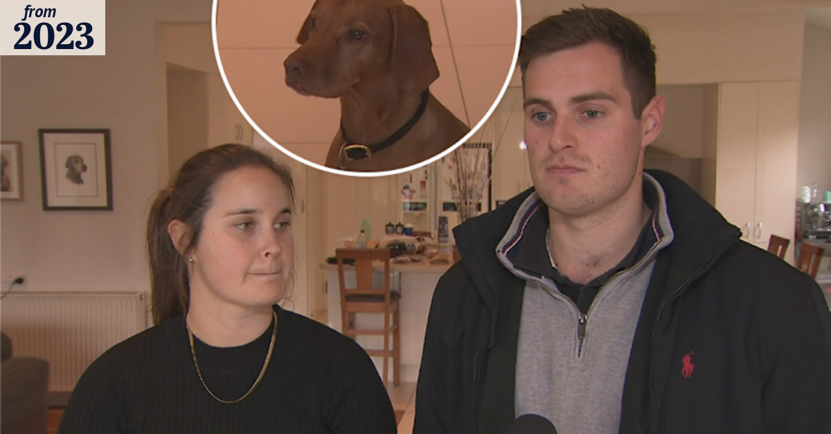 Dog alerts residents after machete-wielding men break into Brighton home