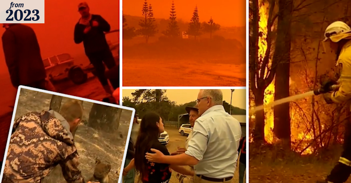 Looking back on the Black Summer bushfires
