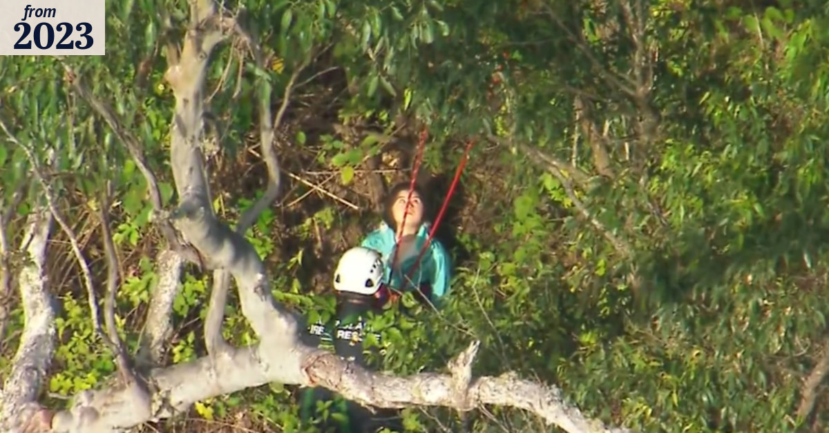 Woman rescued after falling from cliff