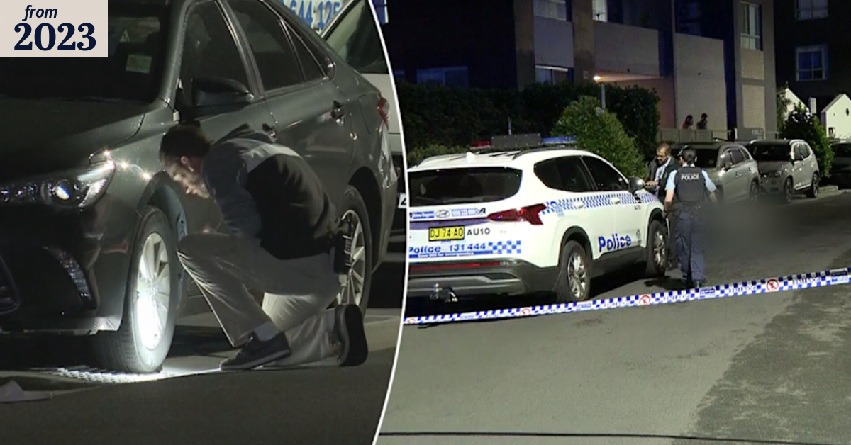 Police search for driver after man hit and killed in Sydney