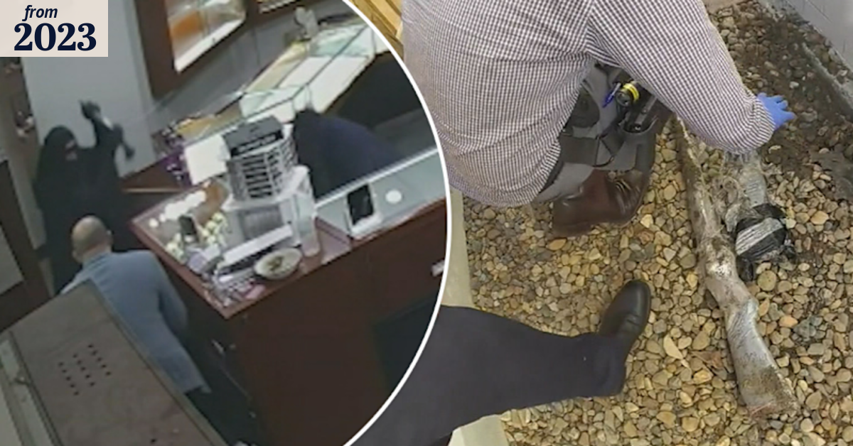 Man charged following alleged armed robbery of jewellery store
