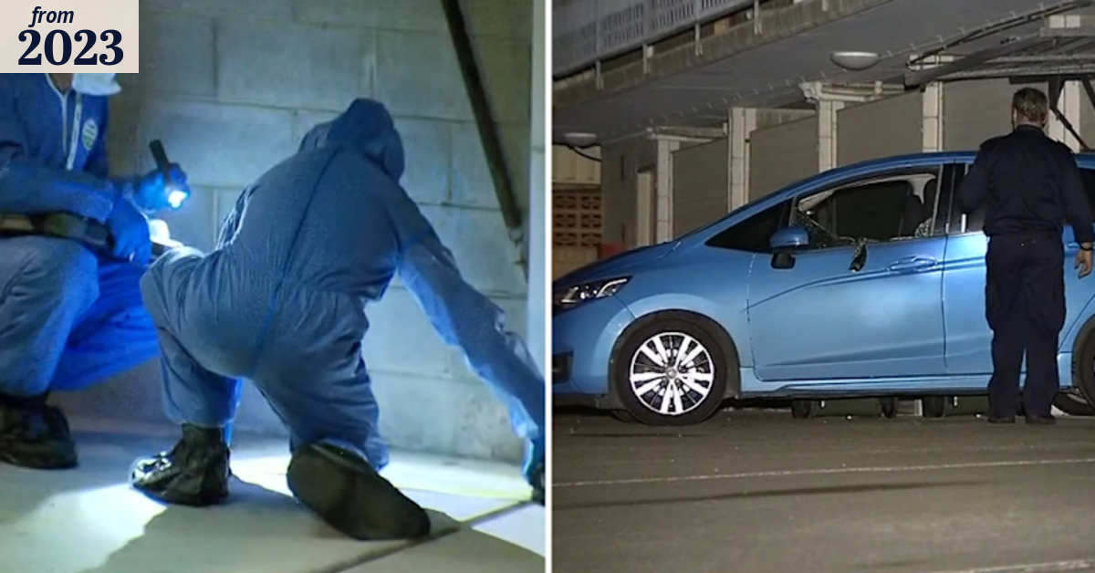 Missing mum found dead in parked car