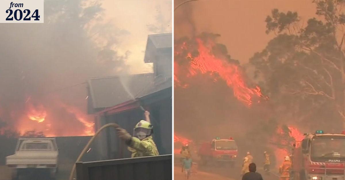 Coroner calls for overhaul of firefighting in Back Summer report