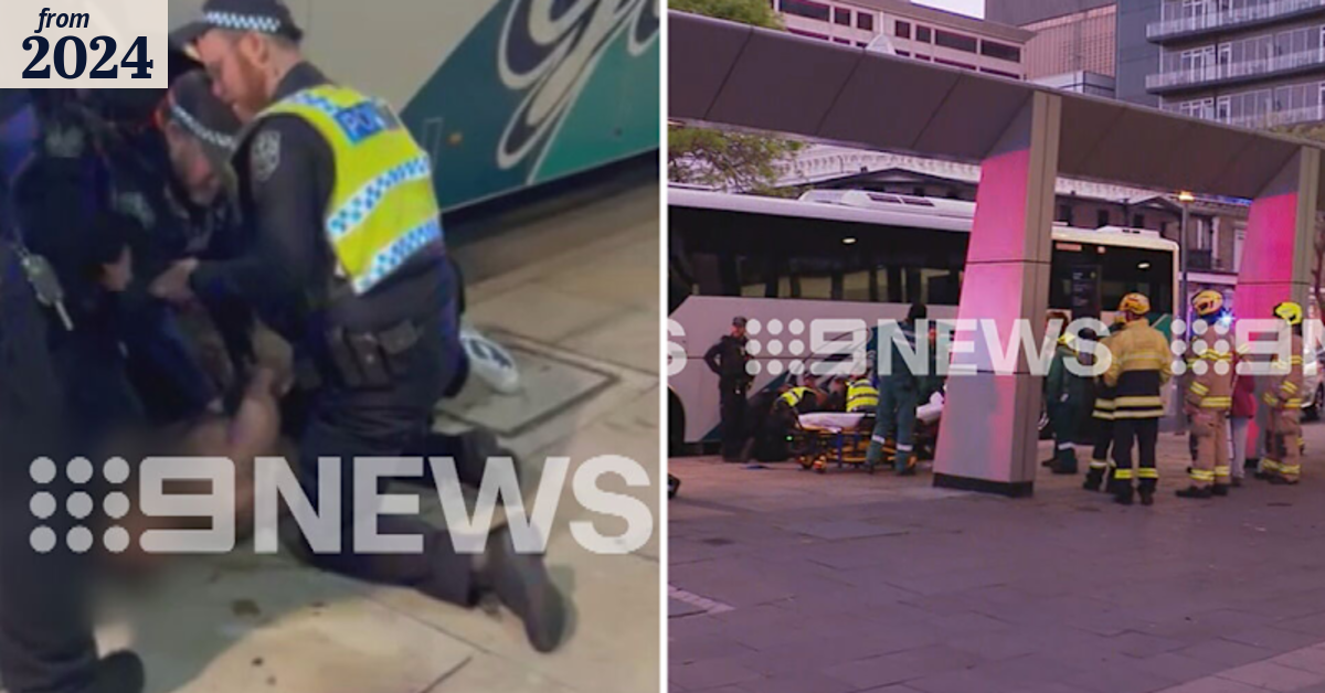 Man arrested after allegedly assaulting police officers and dog trying ...