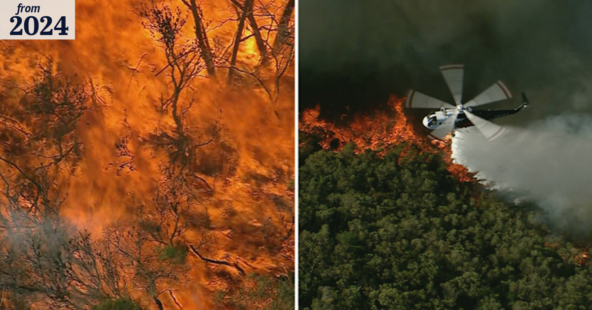 Crews work overnight as bushfire burns through Sydney’s north