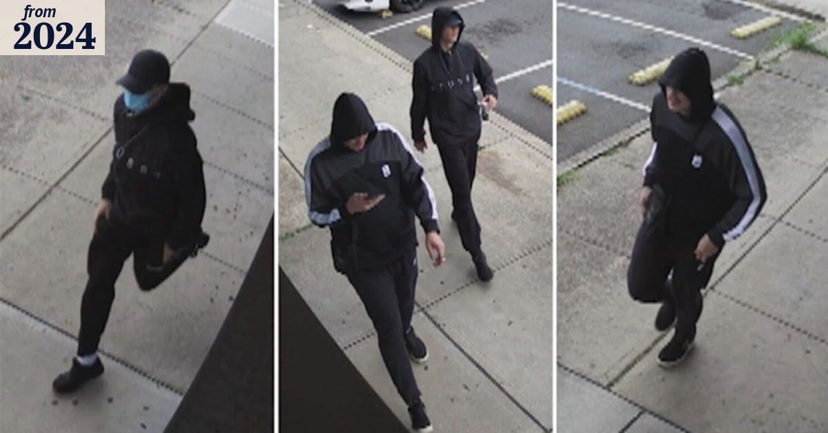 CCTV released as police hunt two men over home invasion