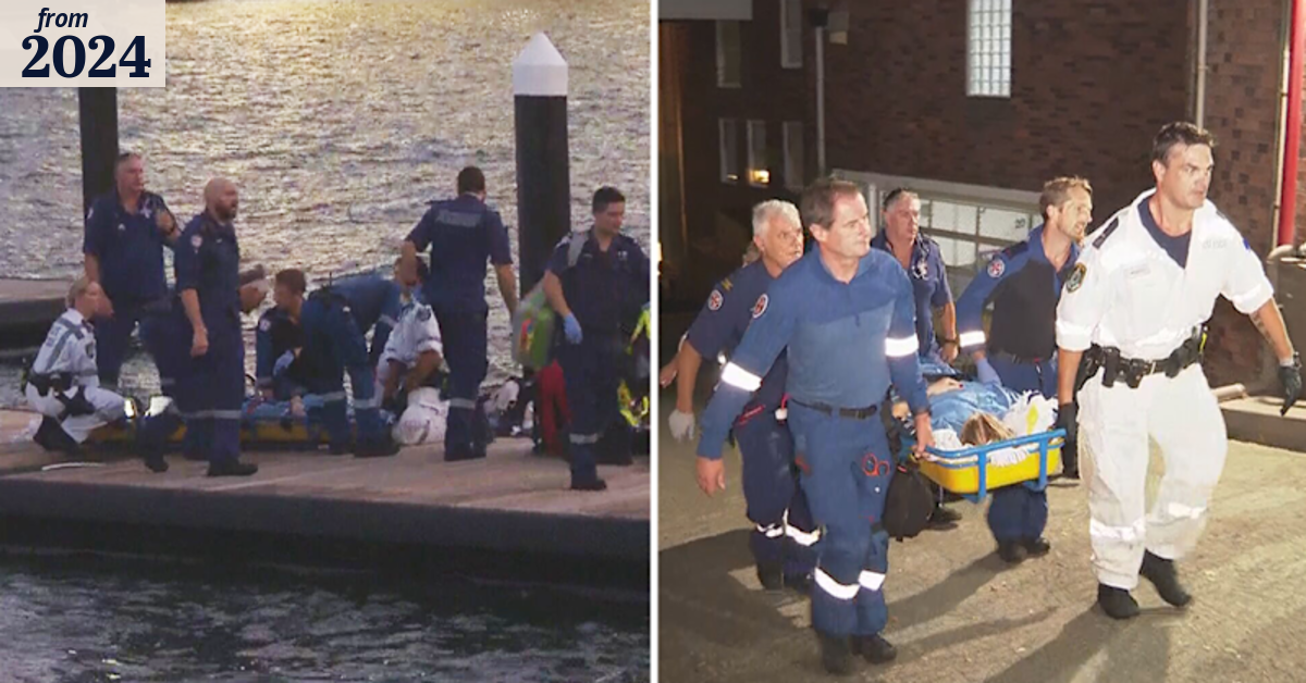 Shark attack on Sydney Harbour leaves woman with serious injuries
