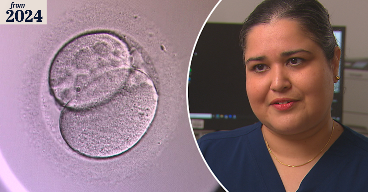 AI can pick embryos for IVF faster than scientists, study finds