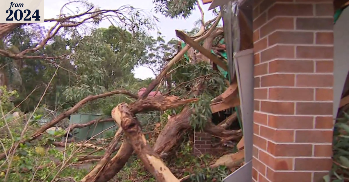 Couple's lucky escape after tree crashes through roof