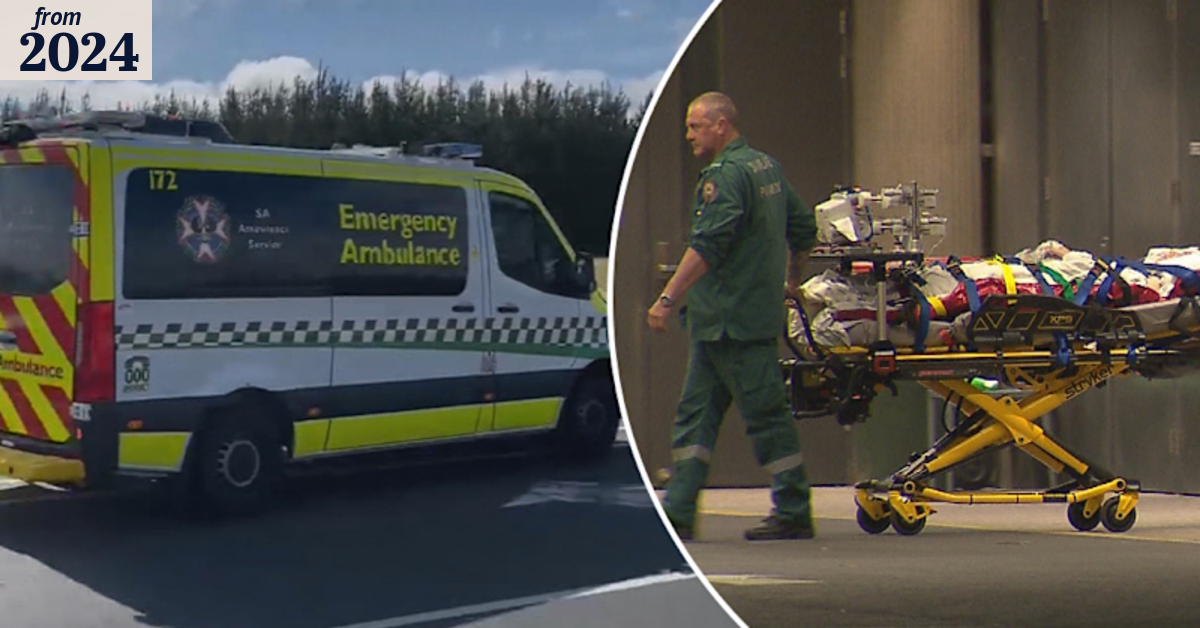 Boy killed in SA highway crash after car hits emu
