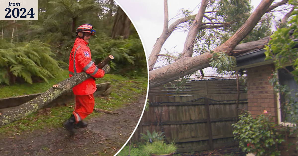 Parts of Victoria smashed by gusty winds