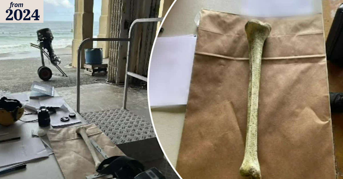 Investigation after mysterious bone washes up on WA beach