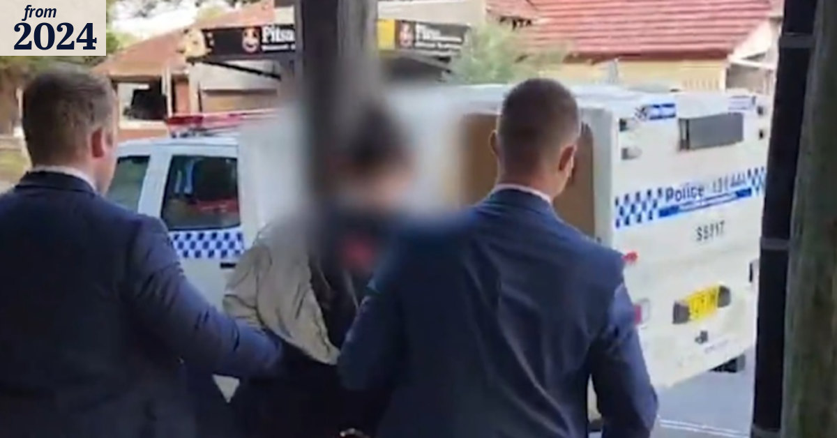 Guns, $500,000 seized in police raids across Sydney
