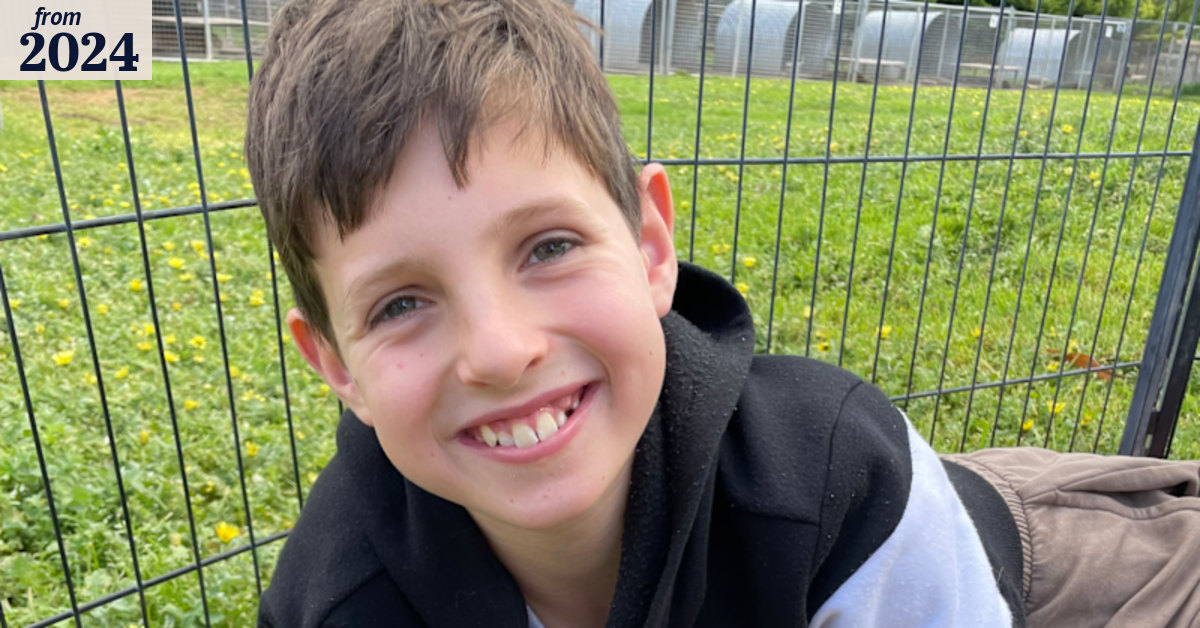 Auburn South Primary School crash: Jack Davey remembered after horror ...