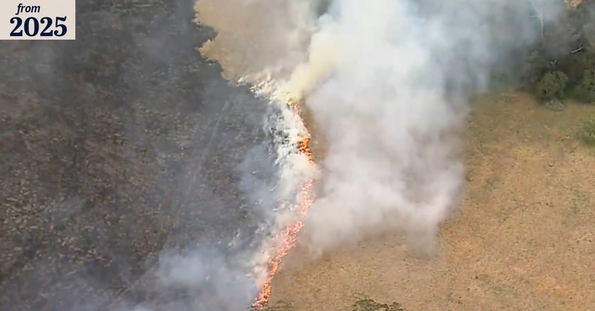 Grassfire causes traffic on Hume Highway in Sydney’s south-west
