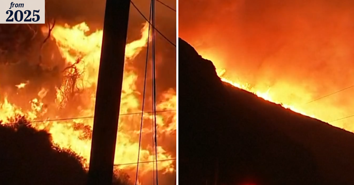 State of Emergency in Los Angeles as forest fires destroy part of city