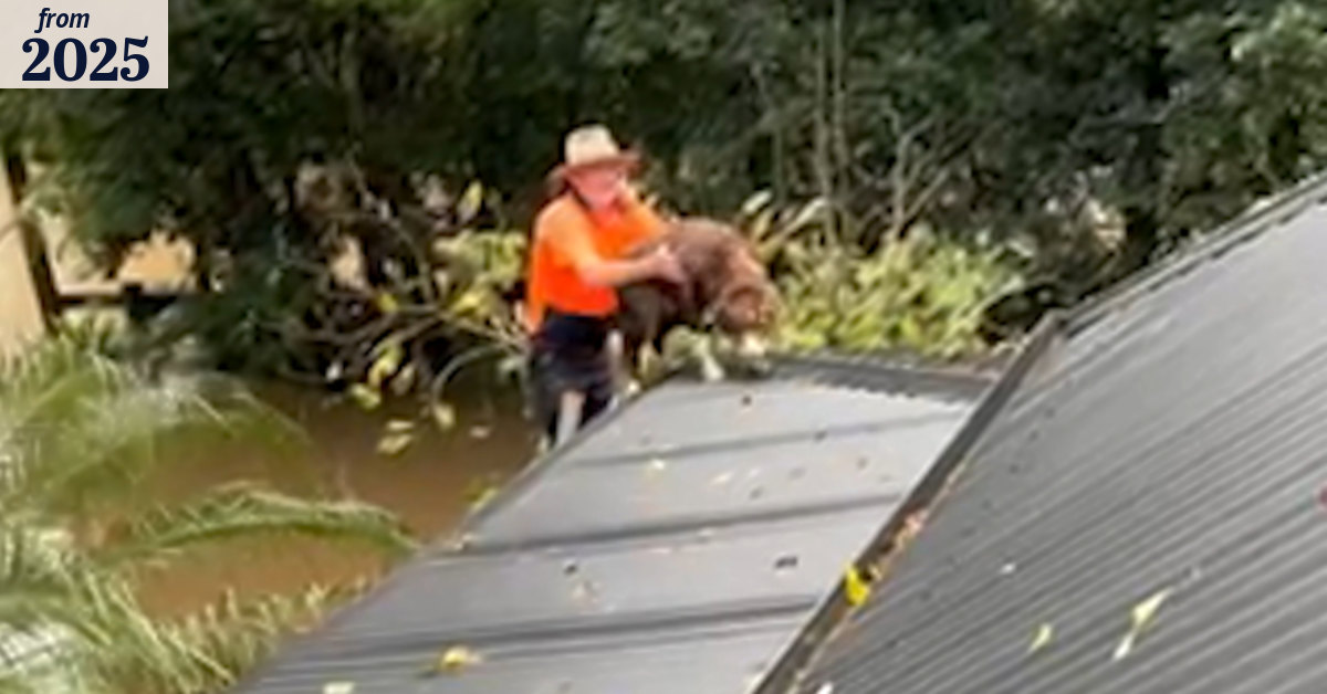 People stranded on rooftop in Taree