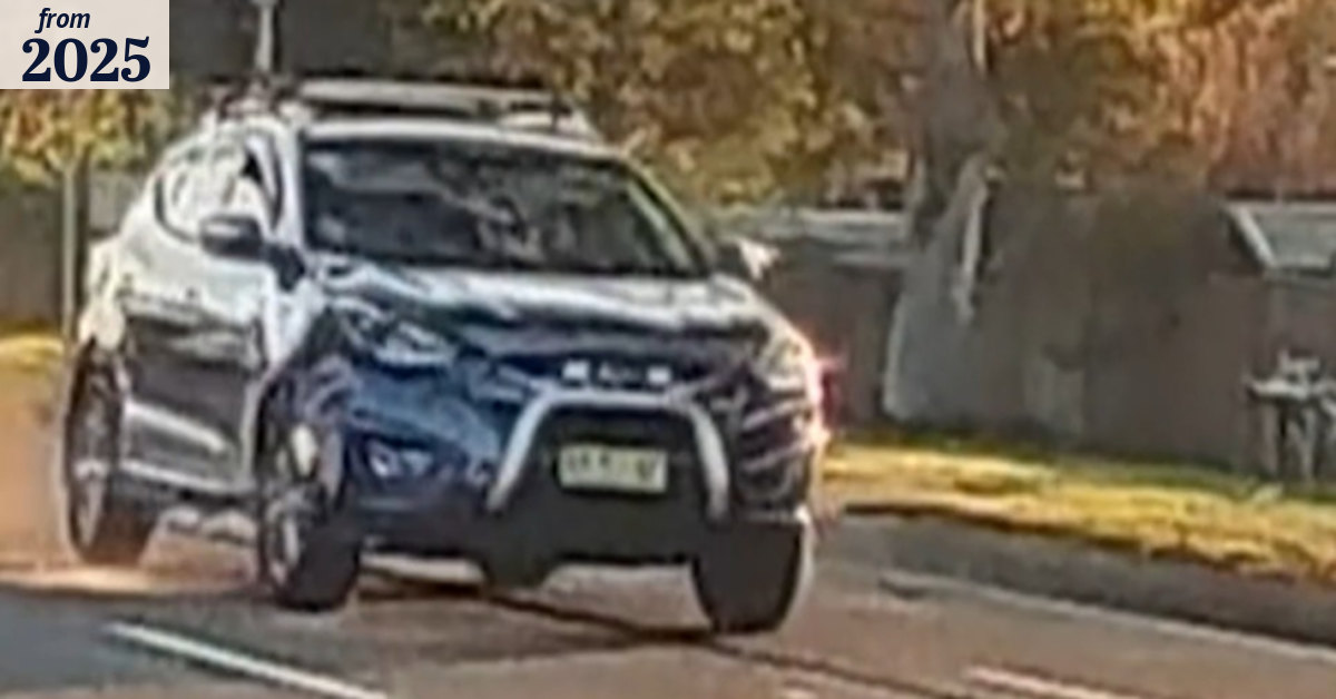 Appeal after alleged Sydney hit and run