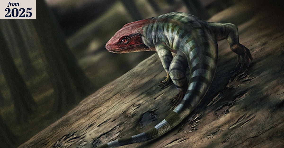 Ancient tracks rewrite reptile origins