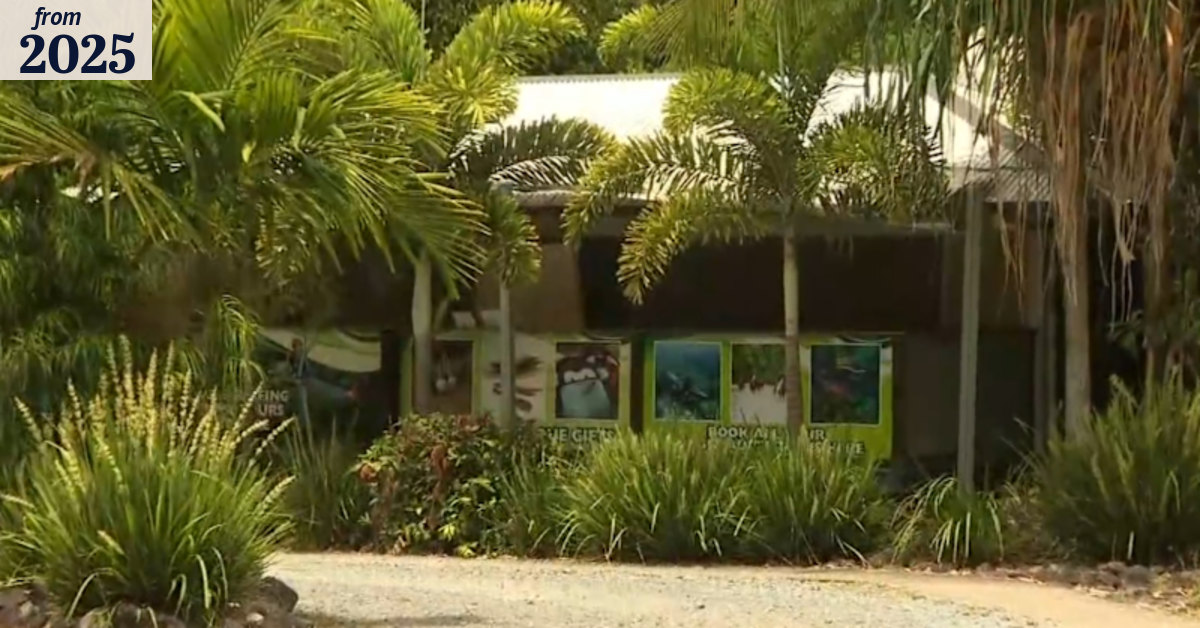 Zipline 'total failure' led to fatal fall at Cape Tribulation, coroner ...
