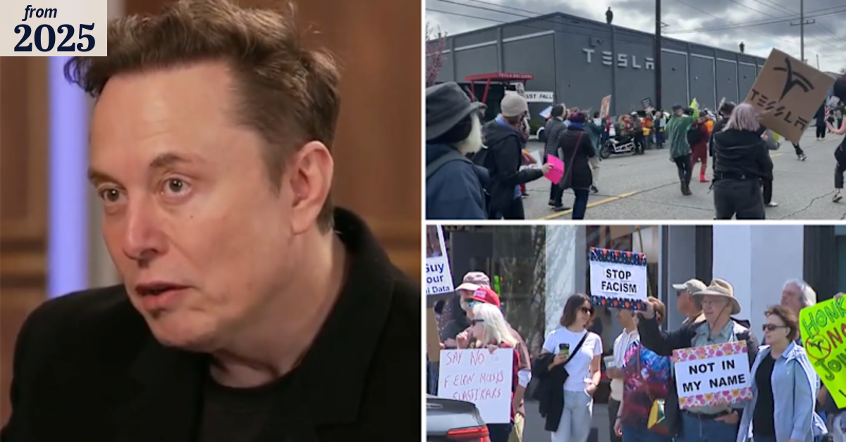 Elon Musk protests held at Tesla dealerships