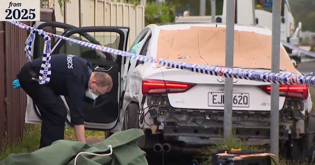 Police arrest two males after shootings across Sydney