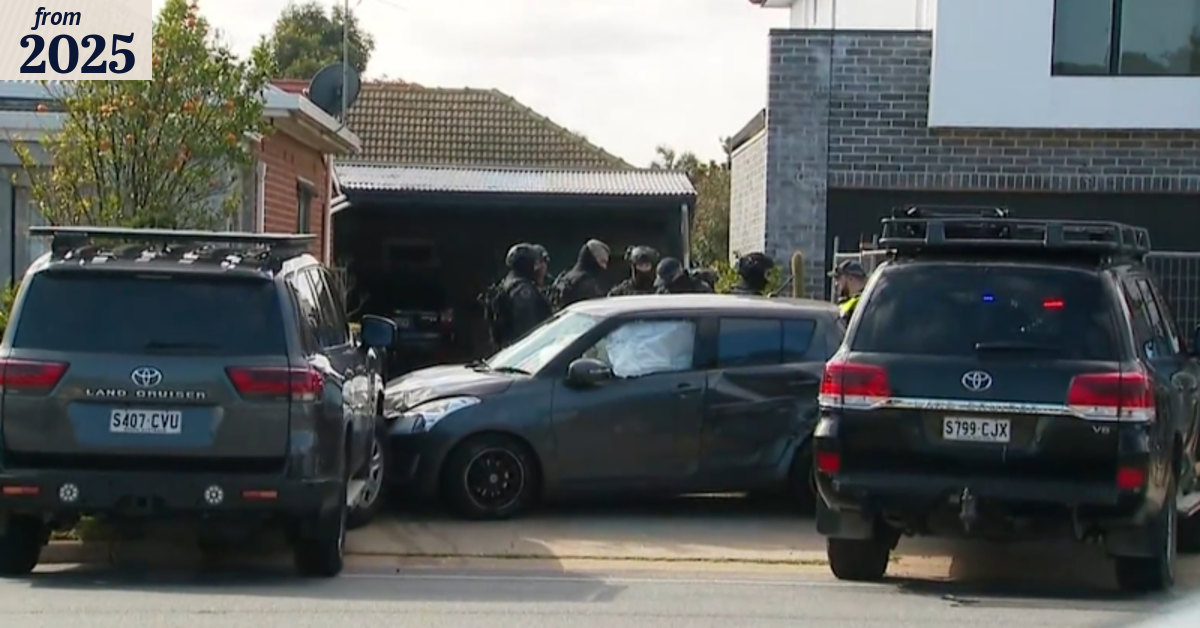 Police chase ends in dramatic arrest