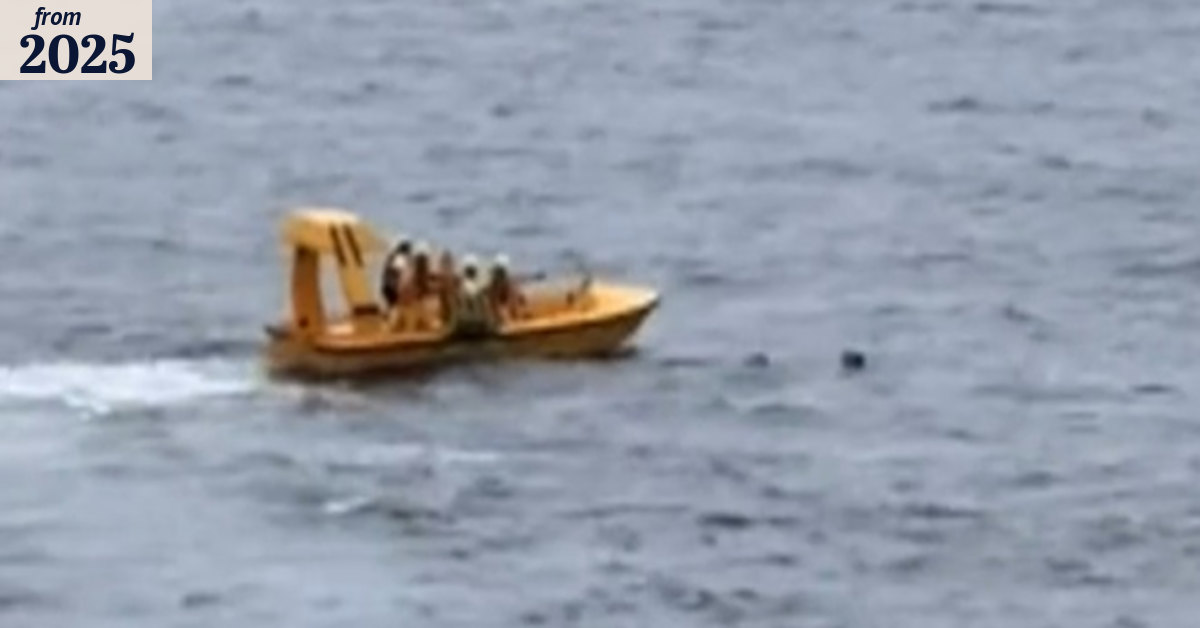 Father and daughter rescued after going overboard on Disney cruise ship