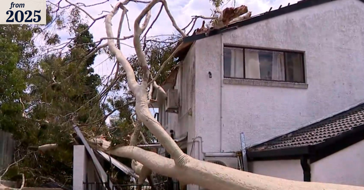 Family home destroyed after tree smashes through roof