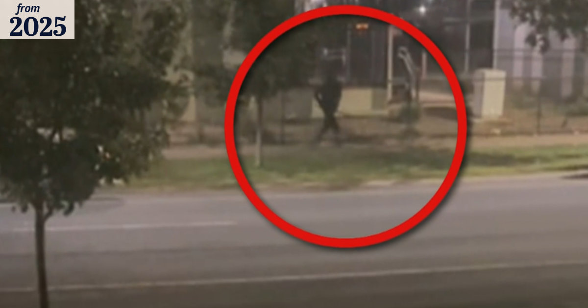 Young man dies after alleged stabbing in Melbourne's west