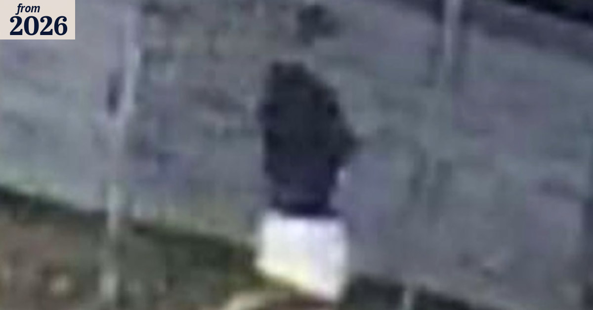 Police hunt man who assaulted sleeping resident in Sydney apartment