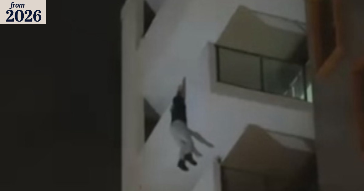 Man dies after falling from Sydney balcony following call to police