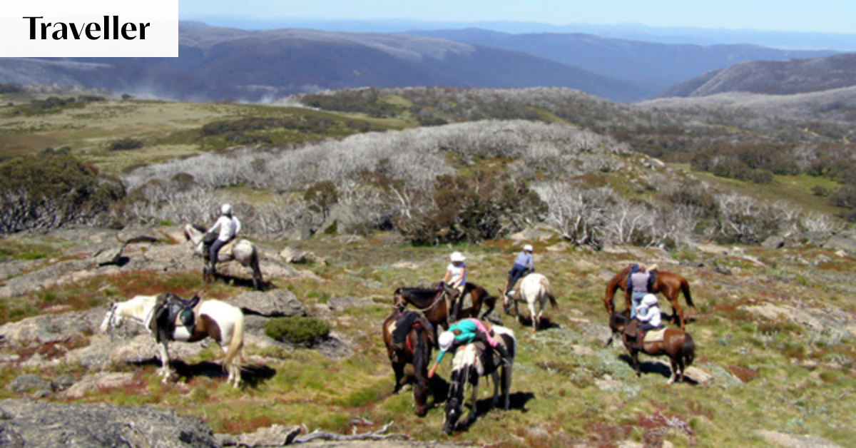 Riding high, on a mount to suit