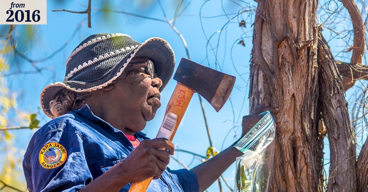 Meet the Indigenous rangers keeping our country healthy