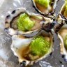 Oysters with finger limes