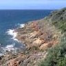 The rugged cliffs near Mornington