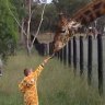 dubbo zoo