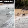 A teenage boy has sustained serious injuries after being bitten by a shark while at Cabarita beach on the NSW north coast.