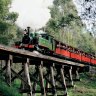 Puffing Billy bans leg dangling as probe begins into minibus collision