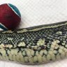 Python eats family dog's tennis ball in Brisbane's west
