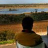 Banrock Station's restaurant overlooks wetlands.