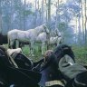 Steady, boys ... there's no finer way to see the high country than from the back of a horse.