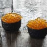 wild trout roe in a pig's blood shell with blood custard from Faviken, by Magnus Nilsson, Phaidon, 2012, pic supplied Phaidon  117 wild trout roe.jpg