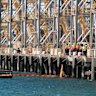 Esperance port workers urged to 'take care of each other'