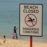 Beachgoers undeterred by Botany Bay's first shark attack in 25 years