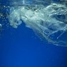 It's plastic-free July. Extend it to the plastic in your wallet