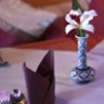 Nara-Thai_th