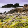 Bruny Island