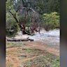 Persistent heavy rainfall continues to cause significant flooding across parts of New South Wales.