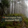 Barrington tops NP.